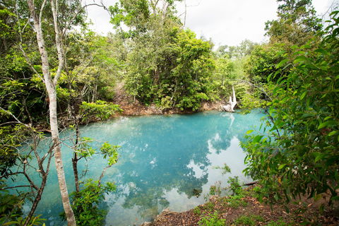 Cardwell Spa Pool - Attractions 2