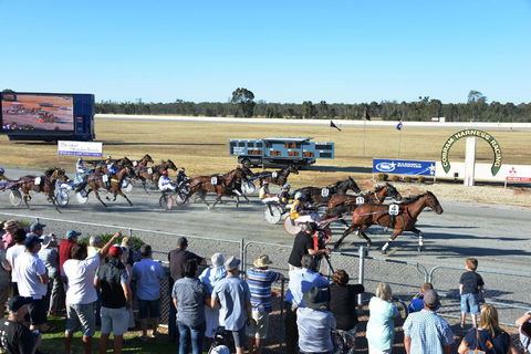 Cobram And District Harness Racing Club - Attractions 2