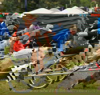 Comboyne - See Attractions