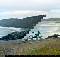 Connors Walking Track - Attractions