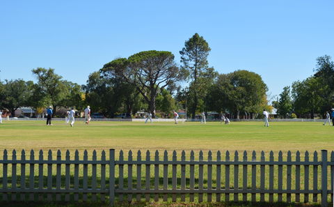 Cootamundra Cricketing Exploration - Attractions Las Vegas 0