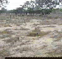Culgoa Connellys Track - Attractions