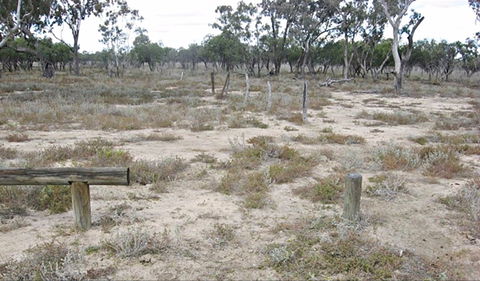 Culgoa Connellys Track - Attractions 0