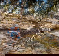 Cycle Mogo State Forest - Attractions