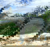 Dingo Statue - Attractions