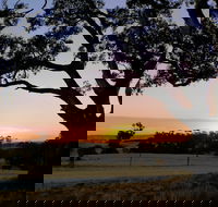 Eden Valley Lookout - Attractions