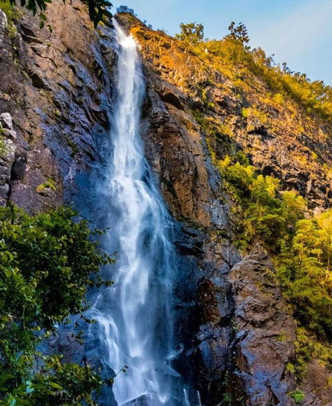 Ellenborough Falls - Attractions 0