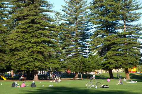 Esplanade Reserve - Attractions 0