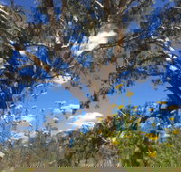 Euroa Arboretum - Attractions