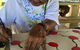 Euraba Paper Aboriginal Corporation - thumb 0