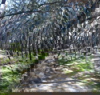 Federation Walk - See Attractions