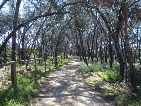 Federation Walk - See Attractions 0