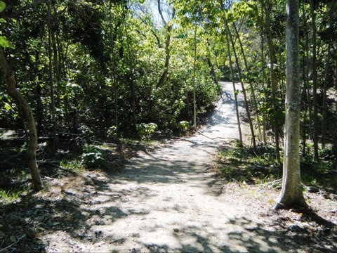 Federation Walk - See Attractions 2