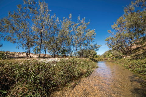 Freshwater Creek Track, Byfield National Park - Attractions 0