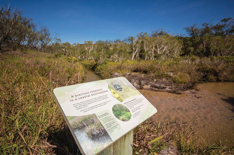 Freshwater Creek Track, Byfield National Park - Attractions 1