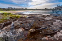 Gannet Beach