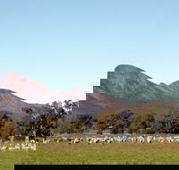 Grampians - Attractions