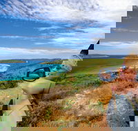 Great Ocean Drive - Attractions