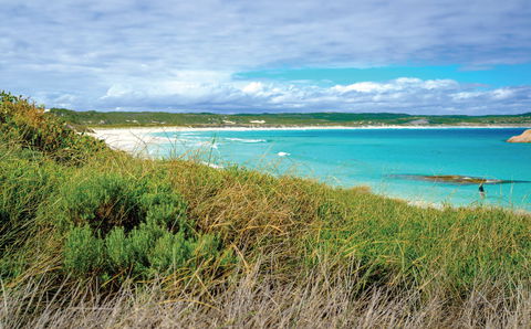 Great Ocean Drive - Attractions 2
