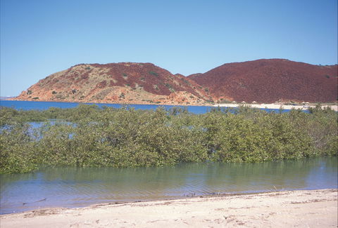 Hearson's Cove - Attractions 1