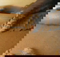 Hermannsburg Potters - Attractions