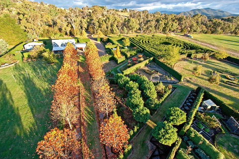 High Country Maze - Attractions 1