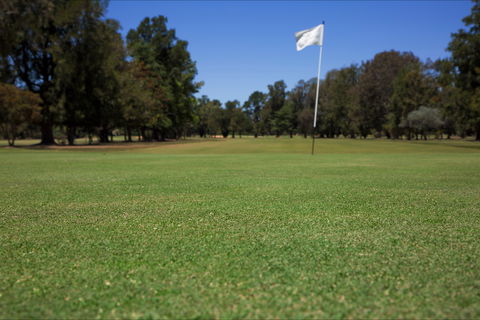 Howlong Golf Resort - Attractions 2