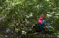 Iluka Rainforest Walking Track