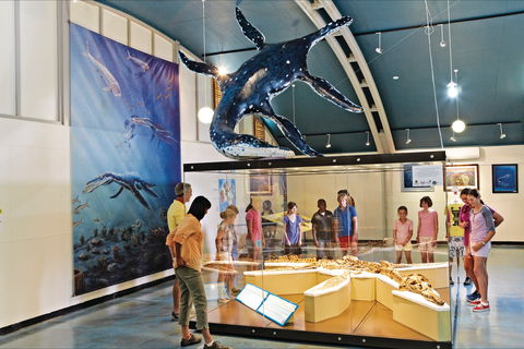 Kronosaurus Korner - Attractions 2
