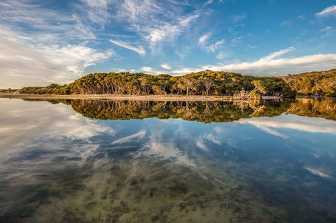 Lashmar Conservation Park - Attractions 0