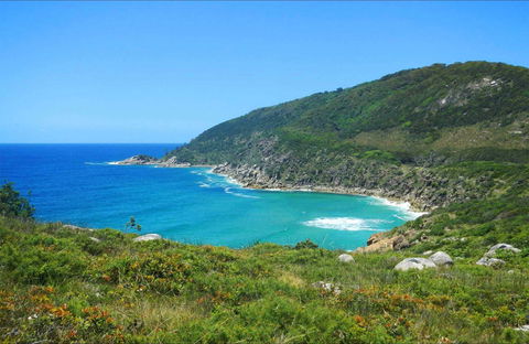 Little Bay Beach - Attractions 0