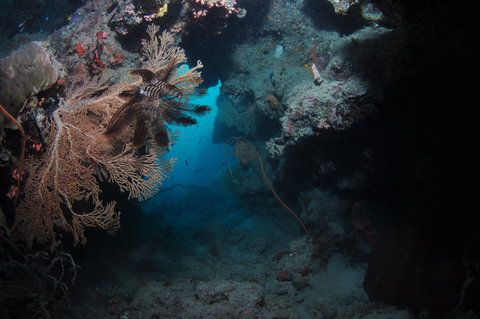 Luncheon Bay Dive Site - Attractions 2