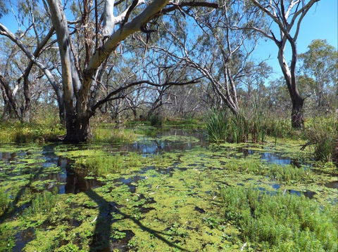 Macquarie Valley Trails - Attractions 0