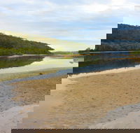 Mangrove Walk - Attractions