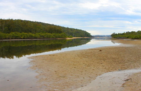 Mangrove Walk - Attractions 0
