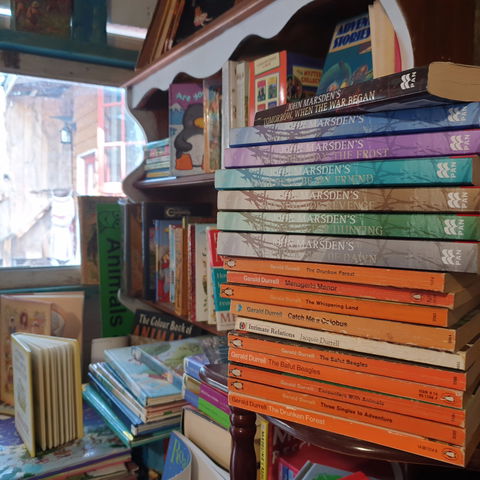 Marketta Lane - Attractions Las Vegas 0