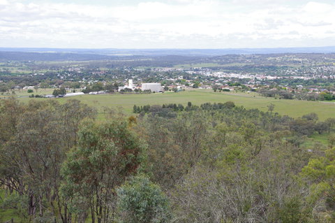 McIlveen Park Lookout - Attractions 1
