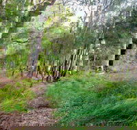 Meroo Lake walking track - Attractions