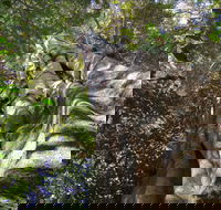 Moore Park Nature Reserve - Attractions