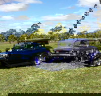Moree Motor Enthusiasts - Attractions