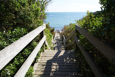 Mount Eliza - Attractions 1