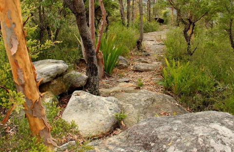 Mount Olive Trail - Attractions 0