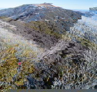Mt Buller Bike Park - Attractions