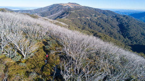 Mt Buller Bike Park - Attractions 0