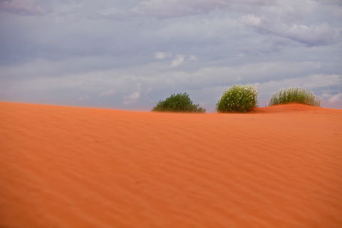 Munga-Thirri - Simpson Desert Conservation Park And Regional Reserve - Attractions 0