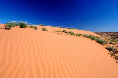 Munga-Thirri - Simpson Desert Conservation Park And Regional Reserve - Attractions 1