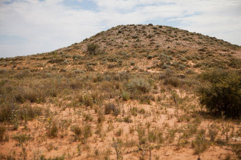 Munga-Thirri - Simpson Desert Conservation Park And Regional Reserve - Attractions 2