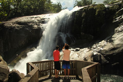 Murray Falls, Girramay National Park - Attractions 0