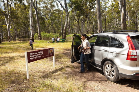 Murray Valley Regional Park - Attractions 0