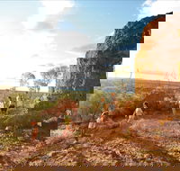 Natural Sciences Loop - Attractions